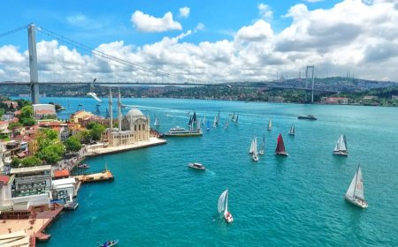 İstanbul’un En İyi Psikiyatri Uzmanları: Uzman İsim ve İletişim Bilgileri