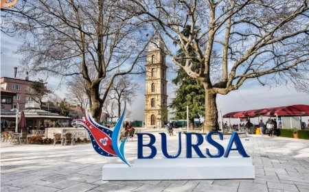 Bursa’nın En İyi Psikiyatri Uzmanları: Uzman İsim ve İletişim Bilgileri