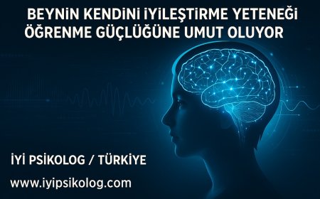 Beynin Kendini İyileştirme Yeteneği Öğrenme Güçlüğüne Umut Oluyor