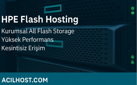 Web Sitesi Kurarken Hosting Seçiminde Dikkat Edilmesi Gerekenler