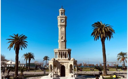 İzmir’in Önde Gelen Psikologları: Uzmanlıkları ve Toplumsal Katkıları