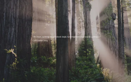 Omelas Psikoloji bilimsel ilkelerle danışmanlık sağlıyor